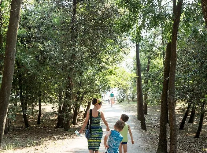 Hotel Park Pineta 3*