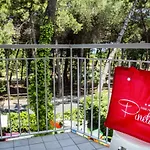 Park Pineta