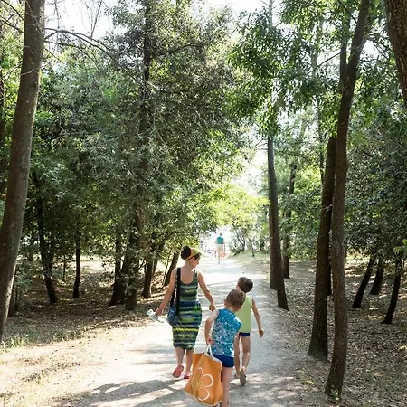 Szálloda Park Pineta 3*