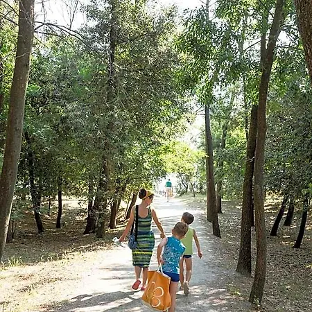 Szálloda Park Pineta